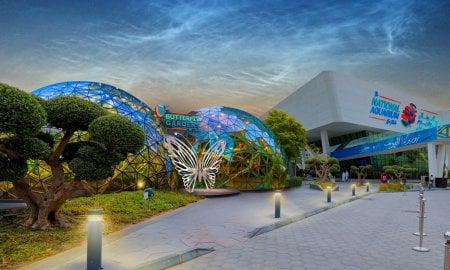 Butterfly Gardens Abu Dhabi to Open at Al Qana | Immersive Nature Experience